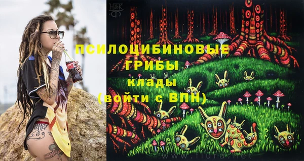 PSILOCYBIN Горнозаводск